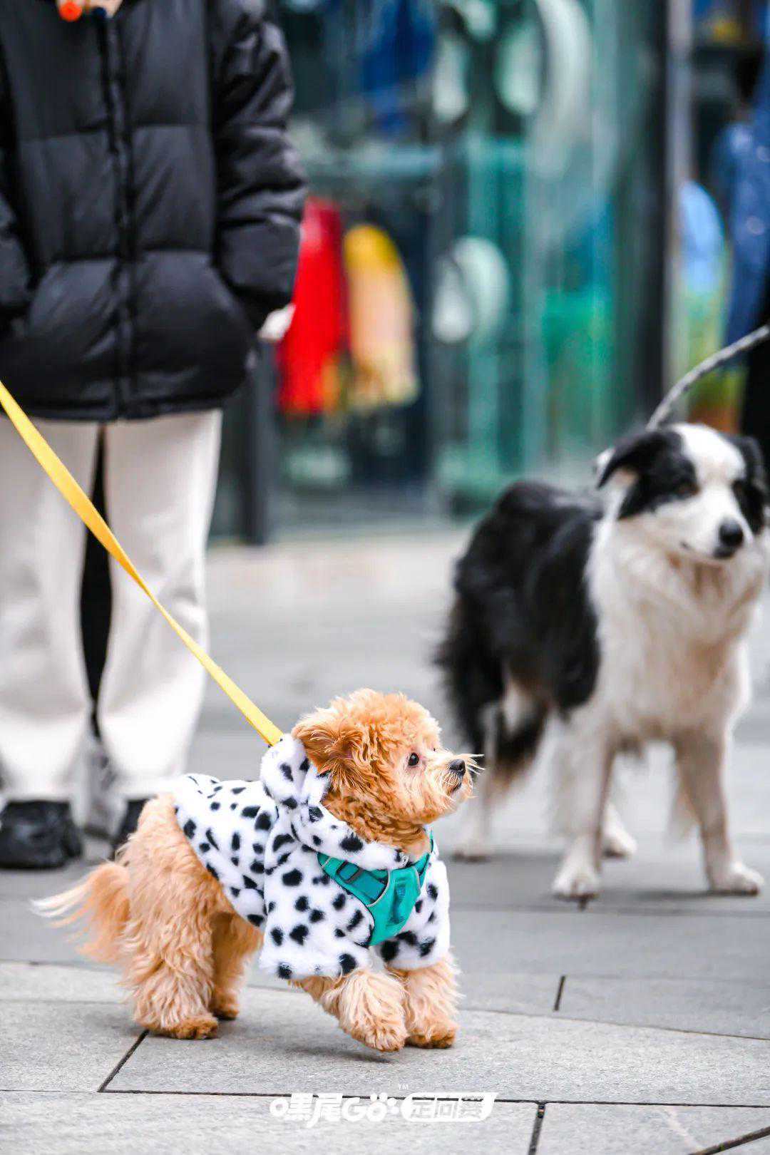 省级表彰！她们上榜→