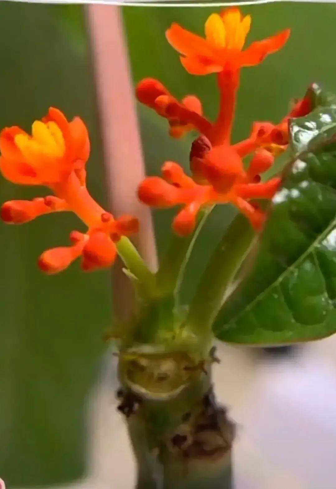 一位血亏百万老股民的肺腑之言：空仓才是炒股的最高境界，颠覆你的赚钱思维，值得反复阅读