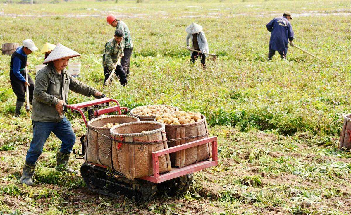玄学里的精气神