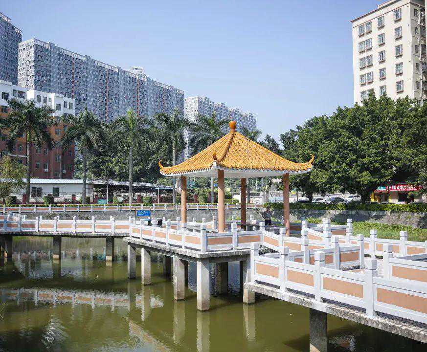 家里有属龙🐉的快来接好运!三月十八,4月15日 周二 家里有属龙🐉的快来接好运!三月十八,4月15日 周二