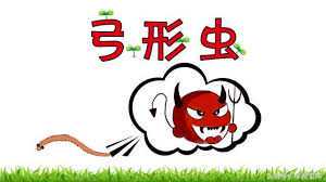 4.23 十二星座运势新鲜出炉！