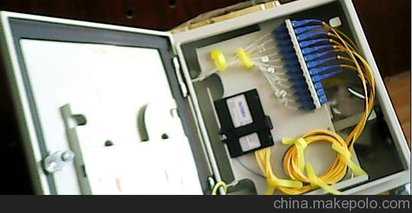 生肖兔：天上凤凰，地上金兔，24 年下半年开始命怎么样？