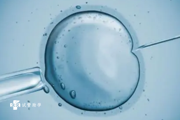 属鸡人运气爆棚!事业一路绿灯,生活顺遂超安心 属鸡人运气爆棚!事业一路绿灯,生活顺遂超安心