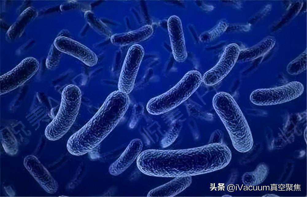 马伯庸：属羊的人命不好？凭什么