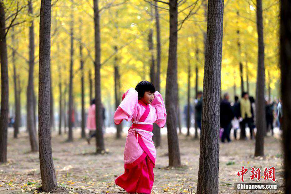 长江江心岛有家不卖书的书店，6年3万人次免费阅读