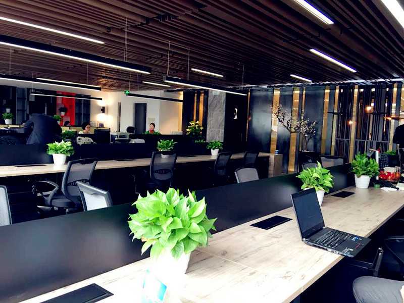 冠军天秤座：斡旋得力 ｜明日星座运势完整版425