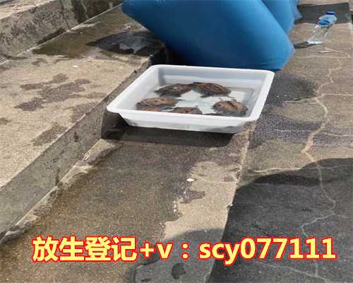 前德鲁克学院院长王欣：读懂「德鲁克」攻略