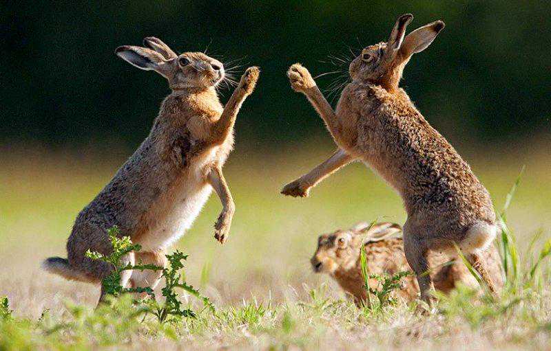 我研究了10个运气特别好的人,发现他们都有这3个共同点 我研究了10个运气特别好的人,发现他们都有这3个共同点