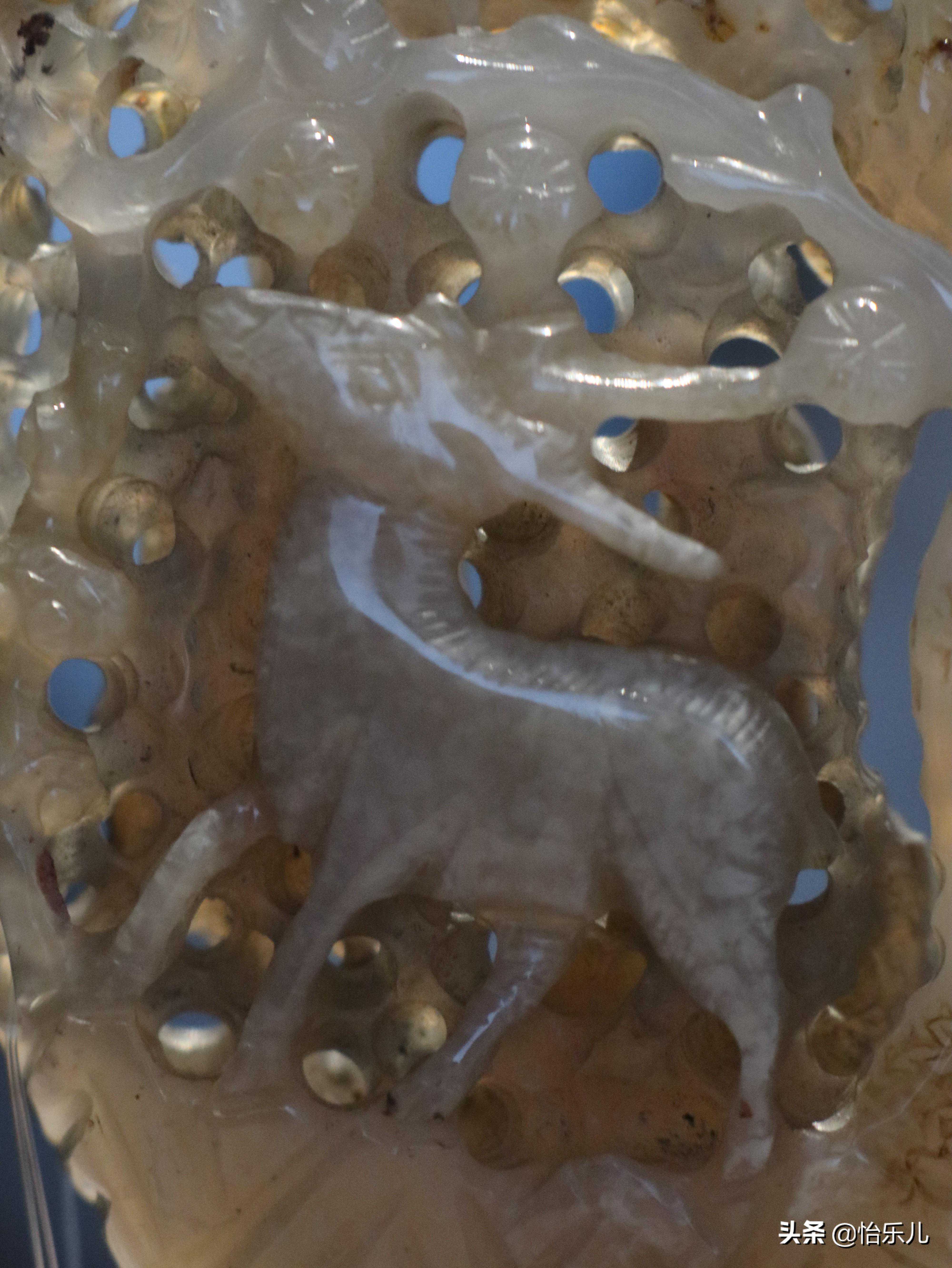 娜迪亚日运：2025年11月26-27日 周末星座运势