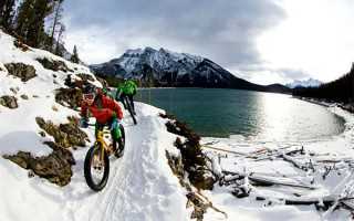 台湾综艺没落,搞笑艺人今何在?hold姐最可惜,有人被实名认证渣 台湾综艺没落,搞笑艺人今何在?hold姐最可惜,有人被实名认证渣