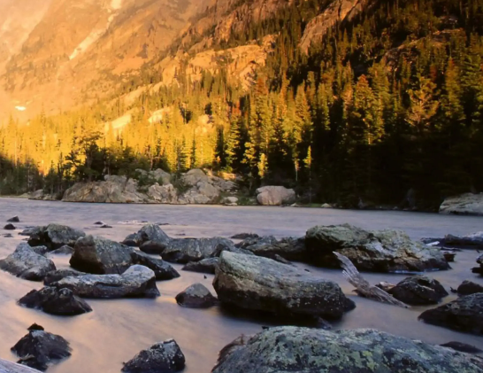 12星座+血型看2025年运势